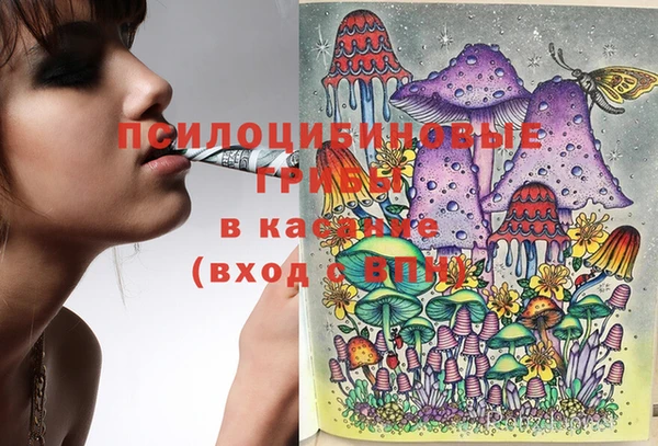 стафф Верея